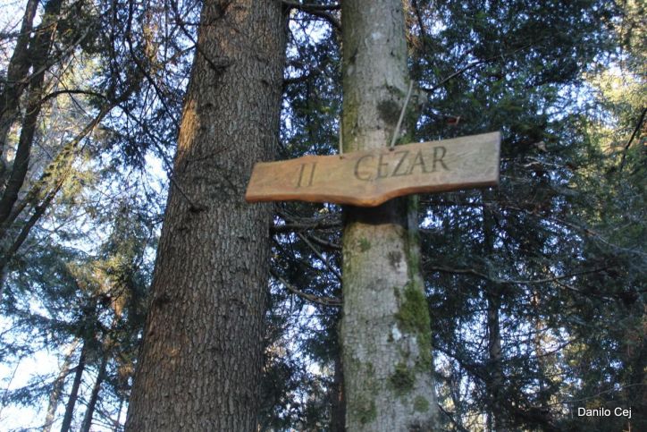 5.2.2025 Ob Ajdovskem zidu in po Rupnikovi  poti do Logatca